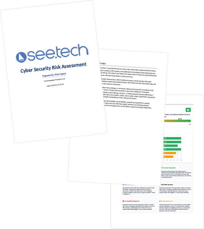 See.tech | Cyber Security Risk Assessment